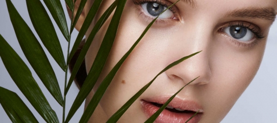 chip laminarea genelor